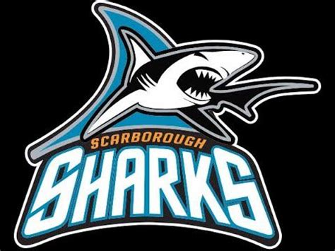scarborough sharks rep coaches